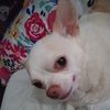 peggymcmahan82